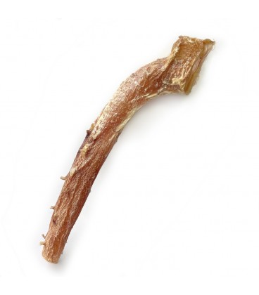 Liellopa aorta - 1gb.