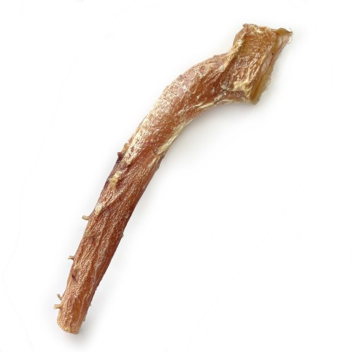 Liellopa aorta - 1gb.