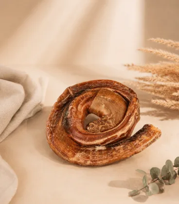 Liellopa penis - gliemezis
